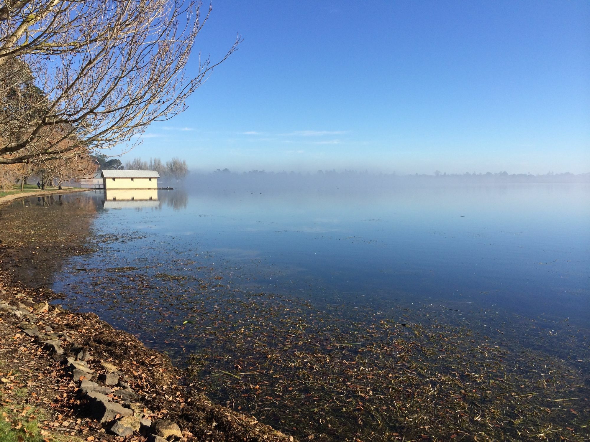 Lake Wendouree Luxury Apartments on Webster Ballarat Buitenkant foto